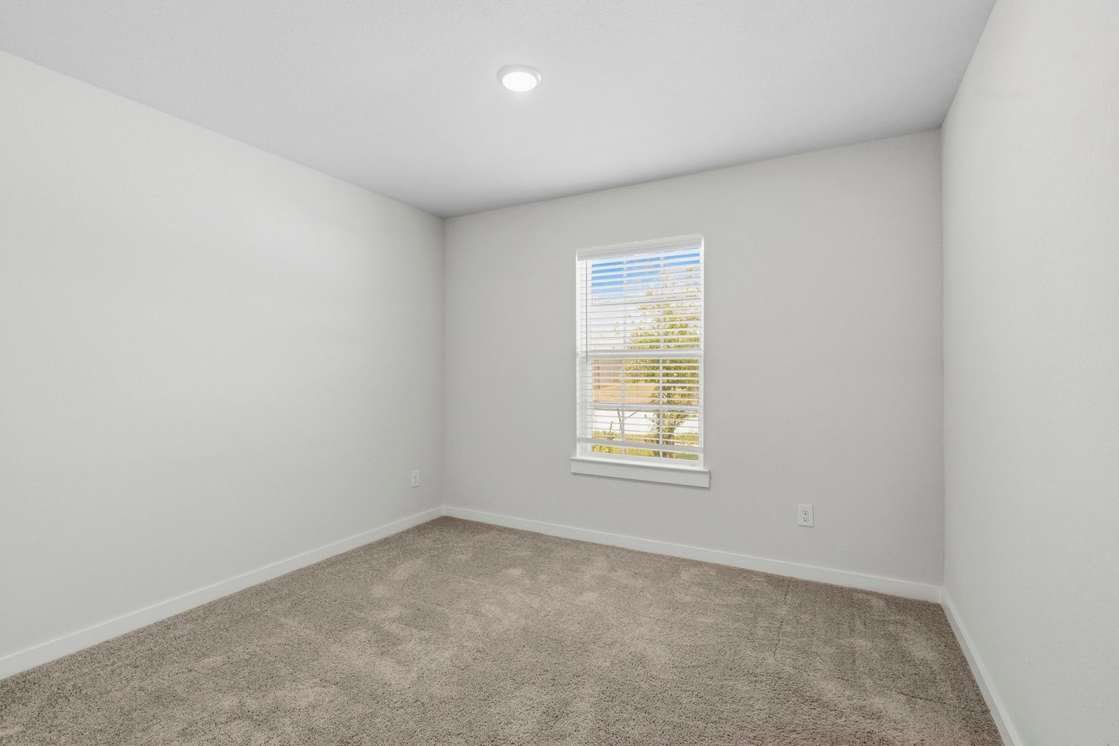 4696 Peony Green Drive Katy, TX 77493 property image