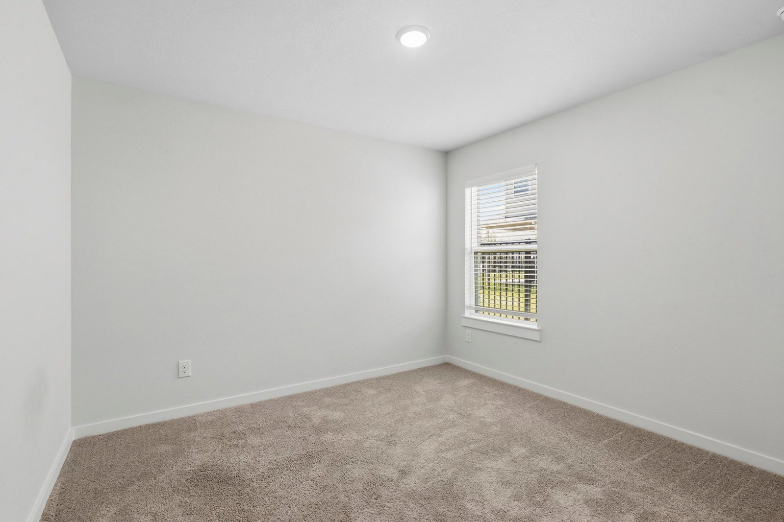 4696 Peony Green Drive Katy, TX 77493 property image