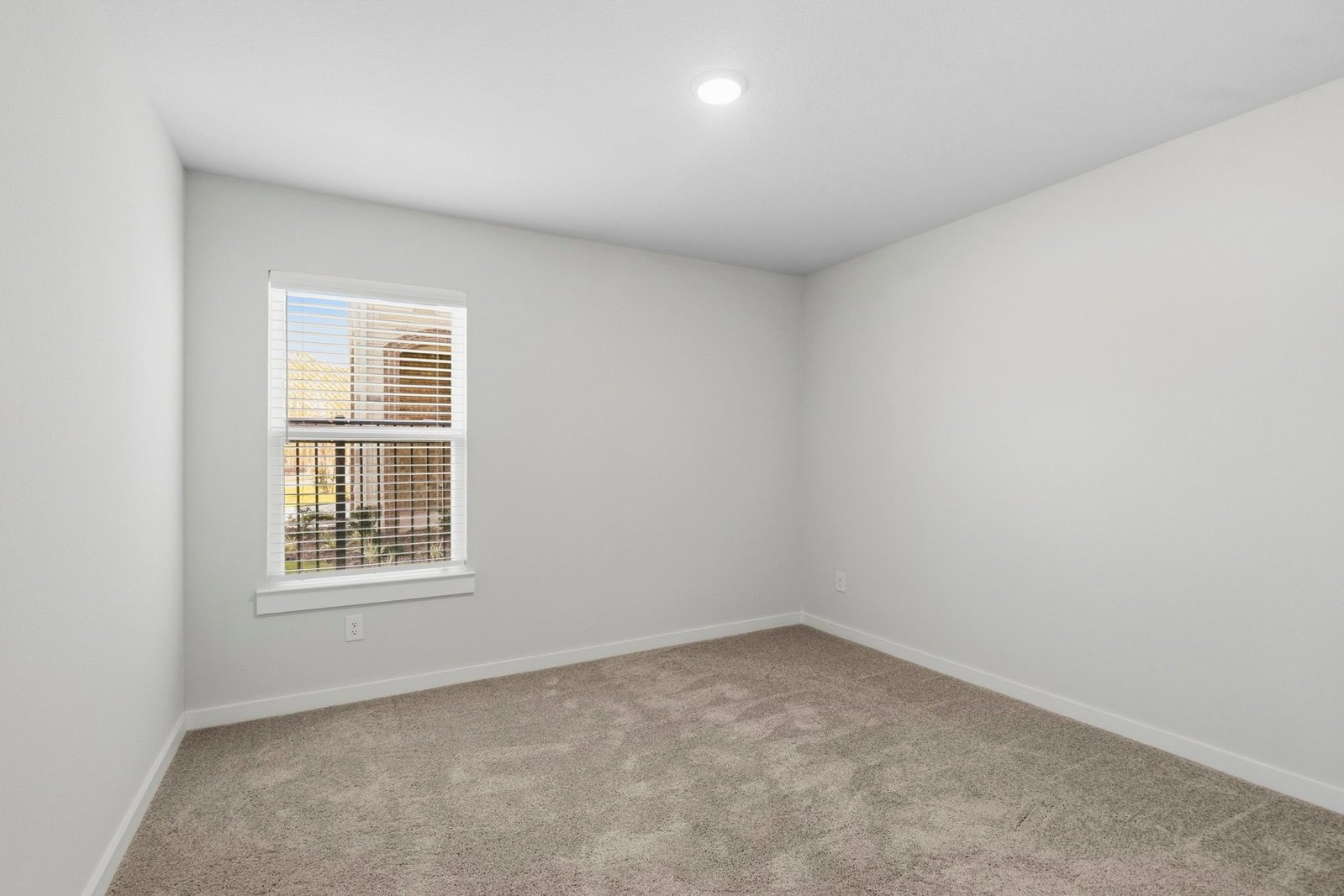 4696 Peony Green Drive Katy, TX 77493 property image