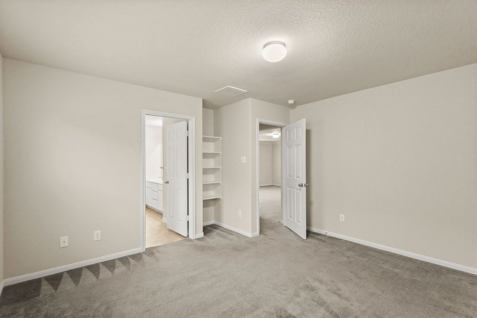 16799 Blackberry Lily Lane Conroe, TX 77385 property image