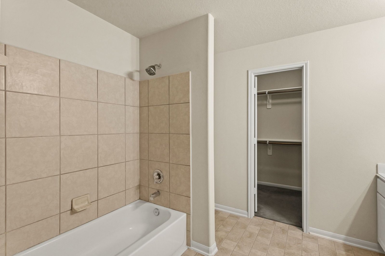 16799 Blackberry Lily Lane Conroe, TX 77385 property image
