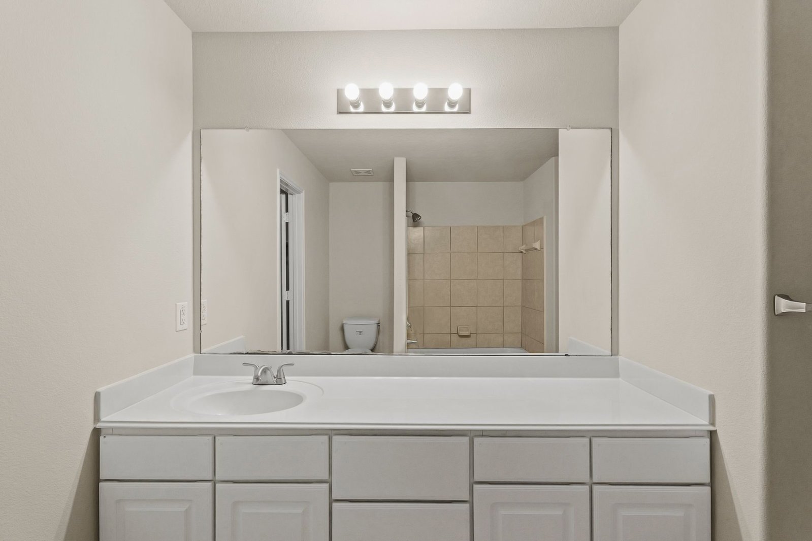 16799 Blackberry Lily Lane Conroe, TX 77385 property image