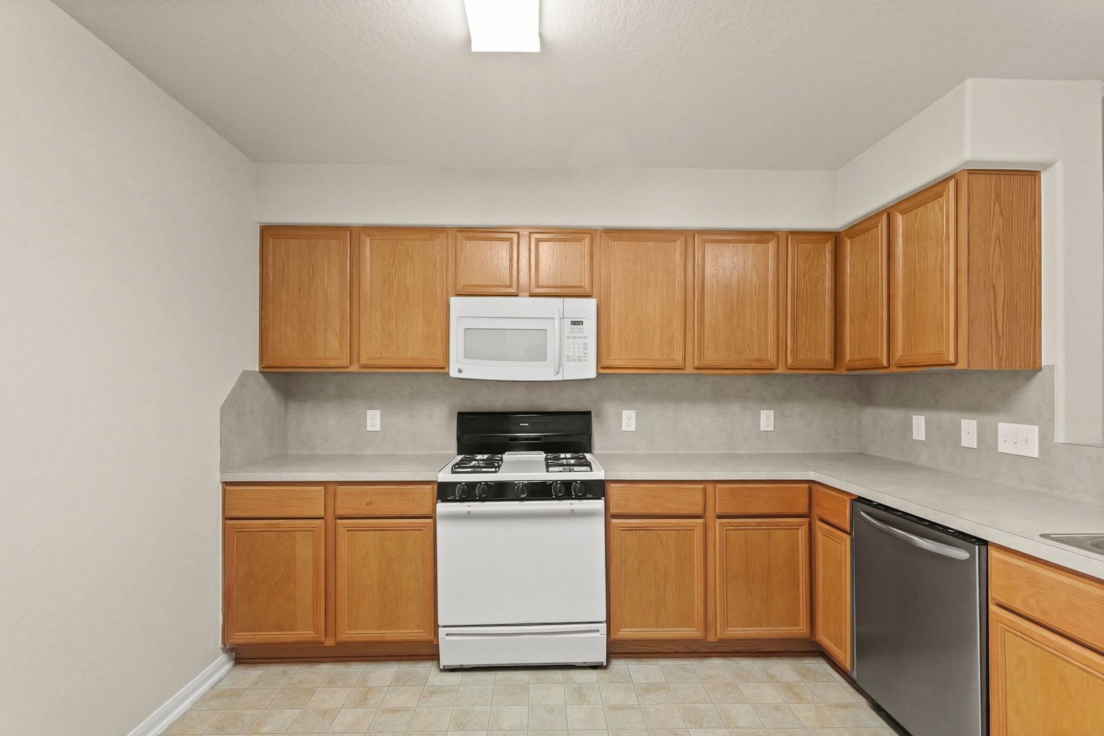 16799 Blackberry Lily Lane Conroe, TX 77385 property image