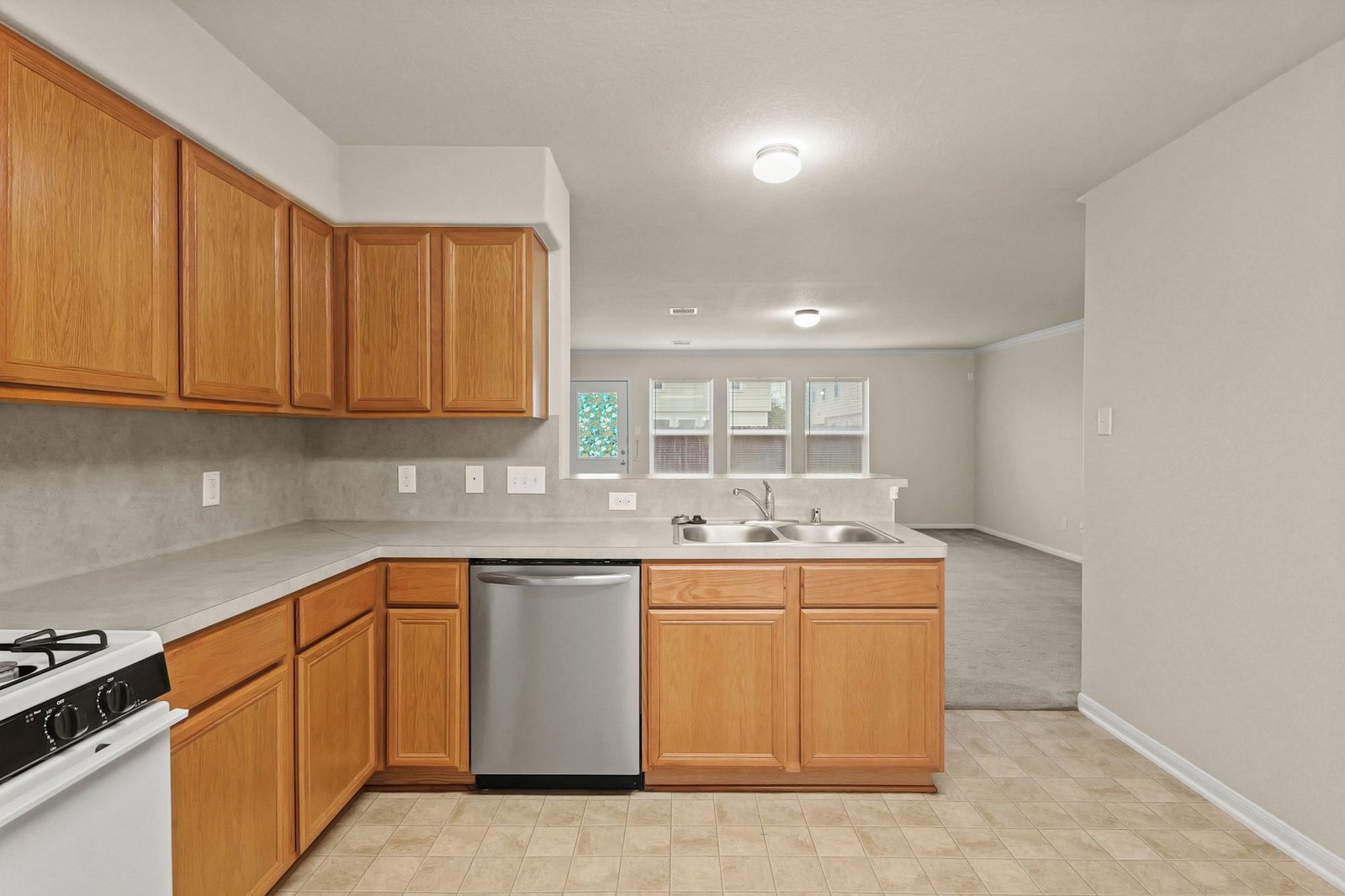 16799 Blackberry Lily Lane Conroe, TX 77385 property image