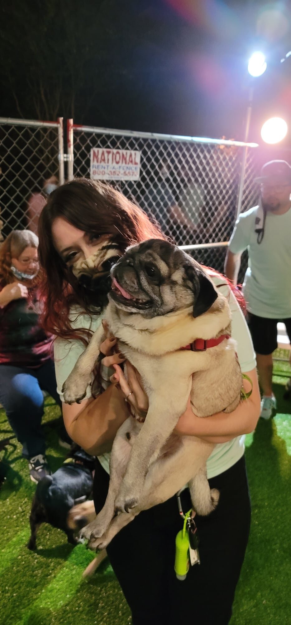 Pug Hearts photo.jpg